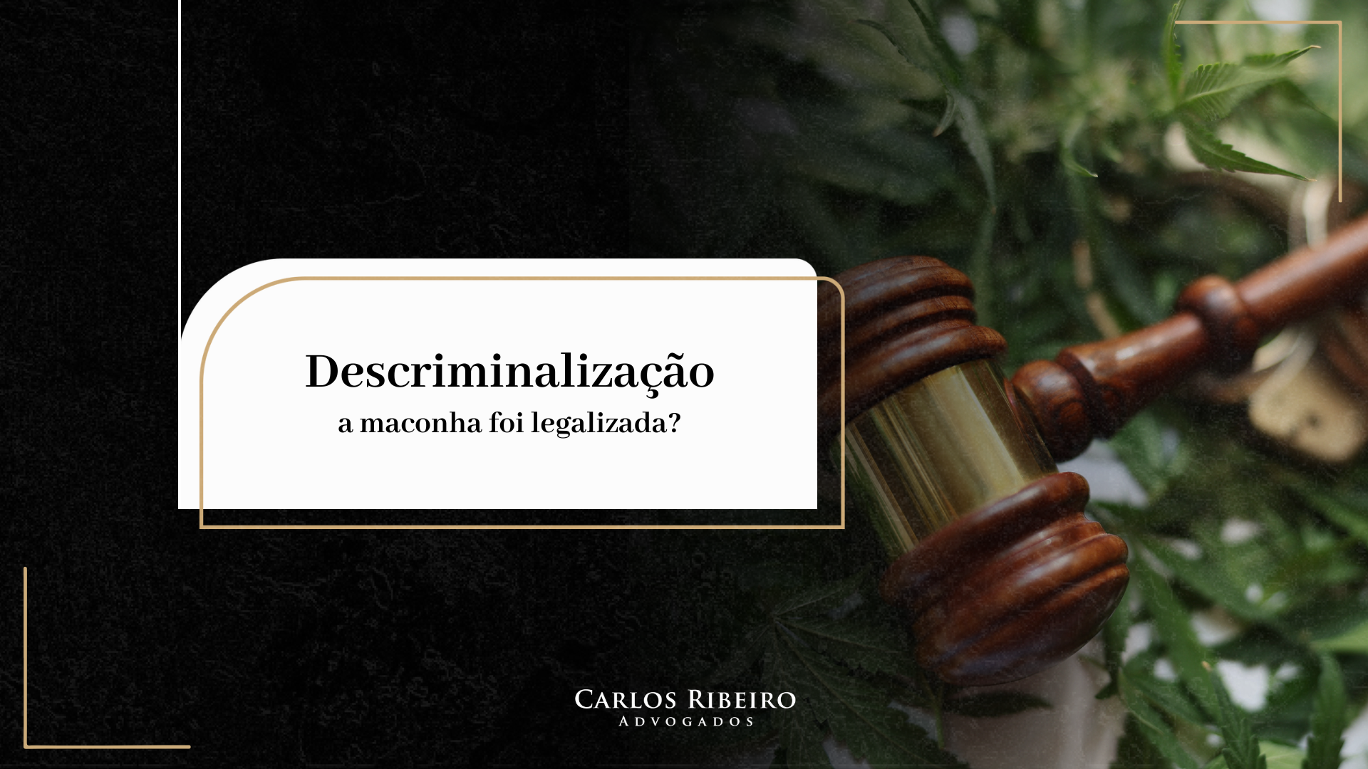 Entenda a descriminalização das drogas nesse artigo exclusivo do Carlos ribeiro.